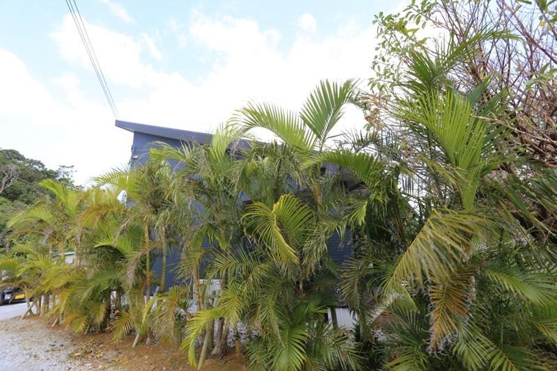 Tabinoteitaku Karstvilla Motobu Exterior foto